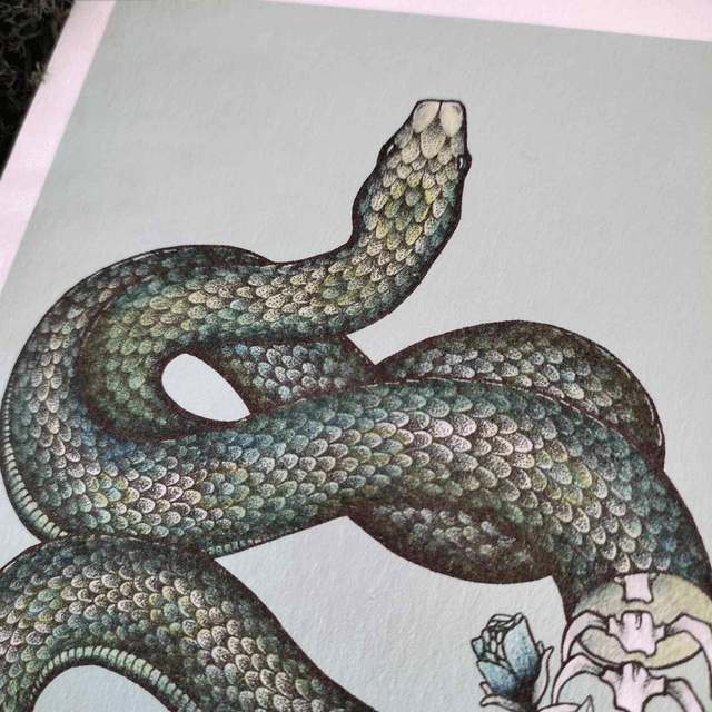 Art print ~ Snake skeleton