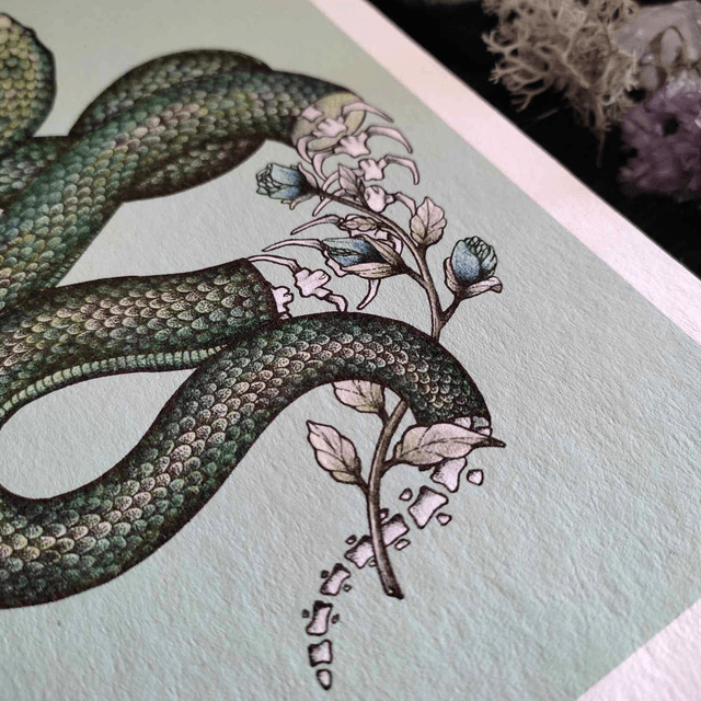 Art print ~ Snake skeleton